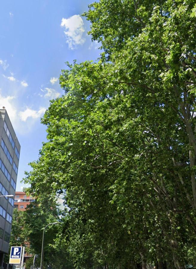 Bernabeu, Luxury Y Luminoso Apartamento Entero Apartment Madrid Exterior photo